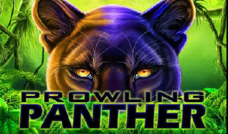 Prowling Panther